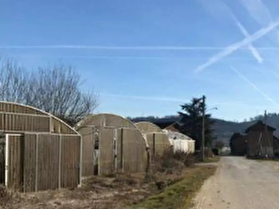 azienda agricola in vendita ad Isola d'Asti in zona Piano