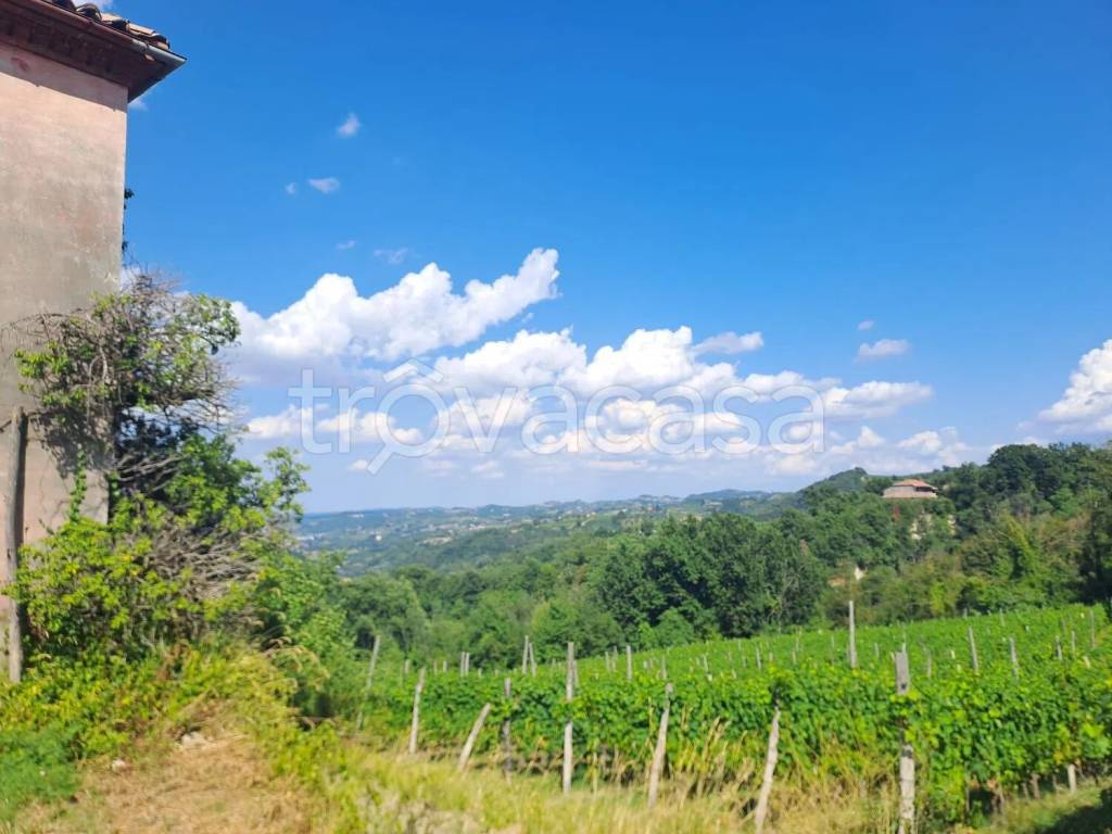 terreno agricolo in vendita a Loazzolo