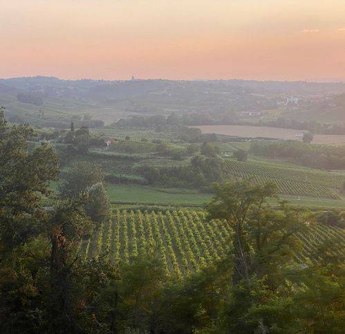 casa indipendente in vendita a Maranzana