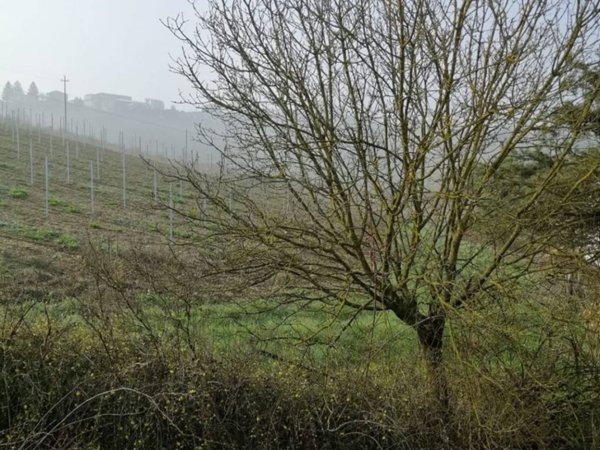 casa indipendente in vendita a Maranzana