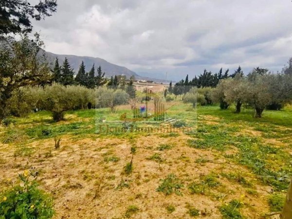 terreno agricolo in vendita ad Alcamo