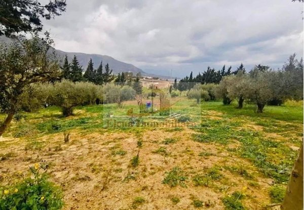 terreno agricolo in vendita ad Alcamo