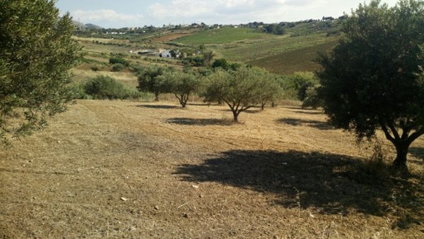 terreno agricolo in vendita ad Alcamo