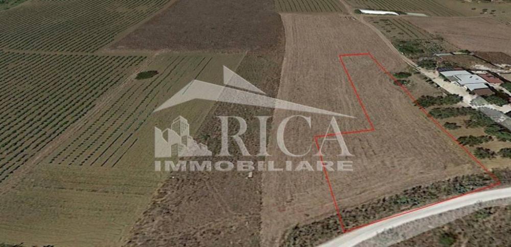 casa indipendente in vendita ad Alcamo