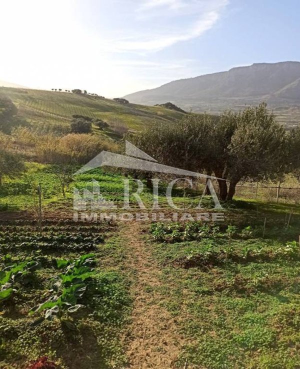 terreno agricolo in vendita ad Alcamo