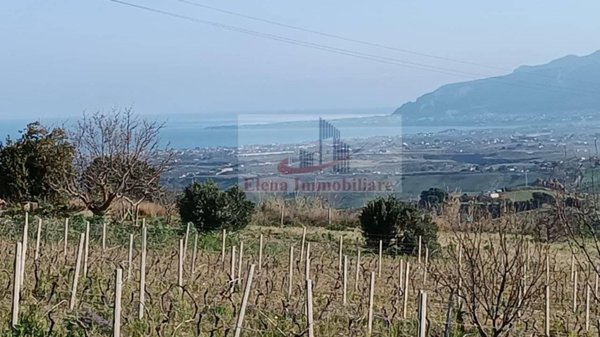 terreno agricolo in vendita ad Alcamo