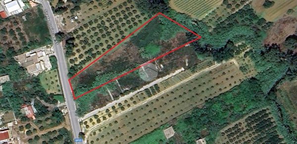 terreno agricolo in vendita ad Alcamo