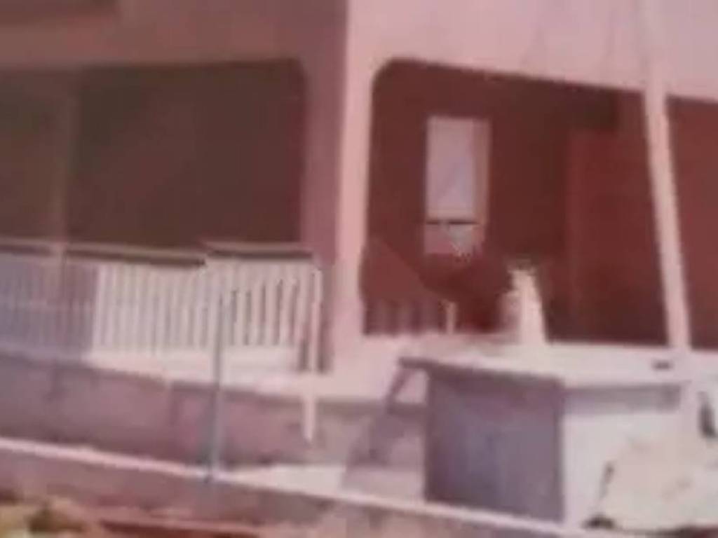 casa indipendente in vendita ad Alcamo