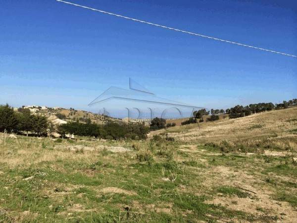 terreno agricolo in vendita ad Alcamo