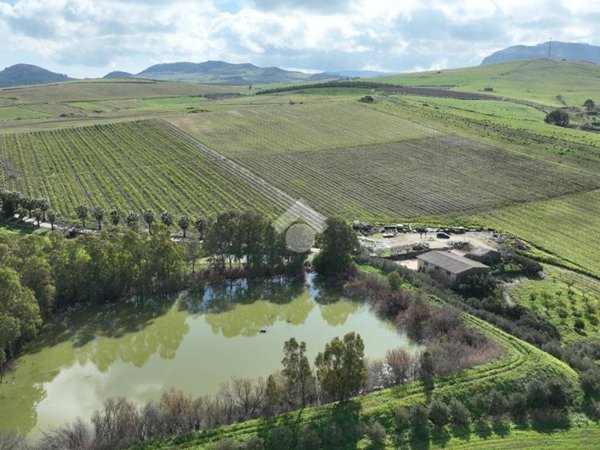 terreno agricolo in vendita ad Alcamo