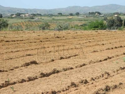 terreno agricolo in vendita ad Alcamo