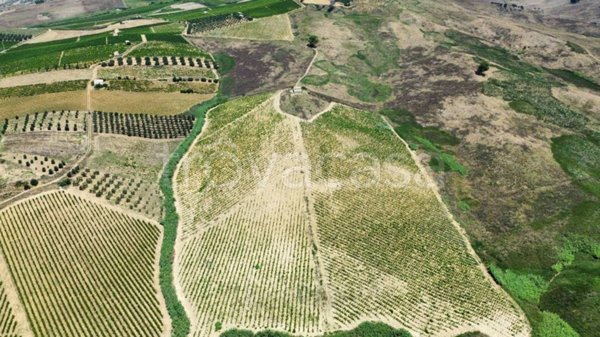 azienda agricola in vendita ad Alcamo in zona Centro Città