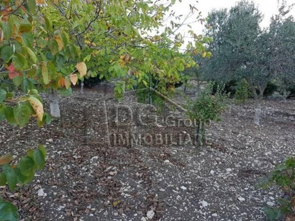 terreno agricolo in vendita ad Alcamo
