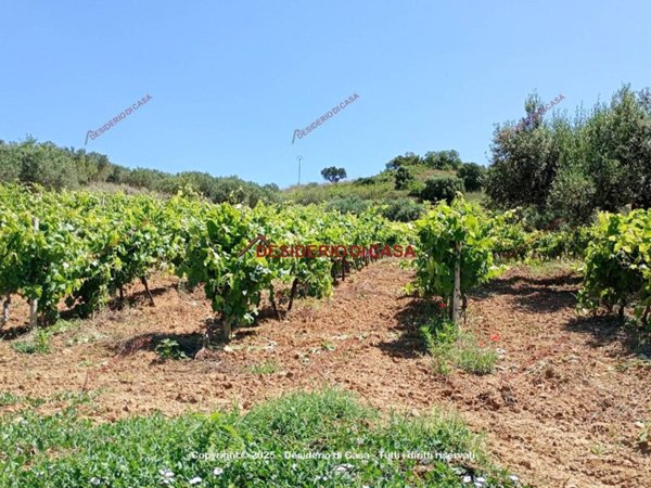 casa indipendente in vendita ad Alcamo