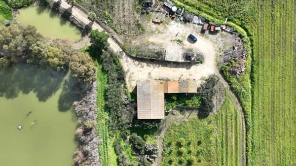 azienda agricola in vendita ad Alcamo