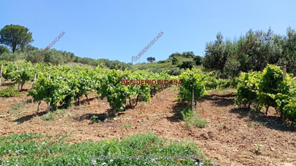 casale in vendita ad Alcamo