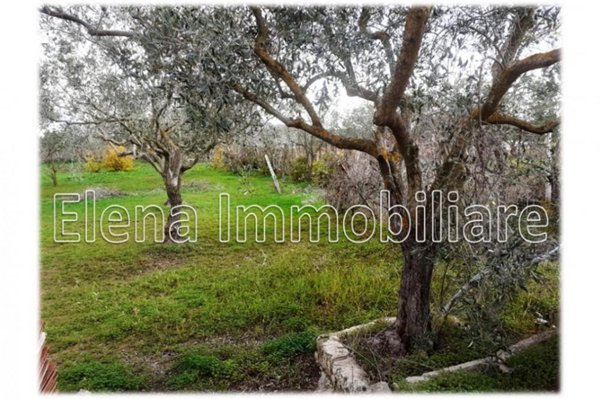terreno agricolo in vendita ad Alcamo