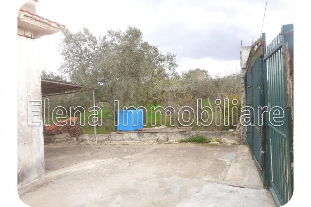 terreno agricolo in vendita ad Alcamo