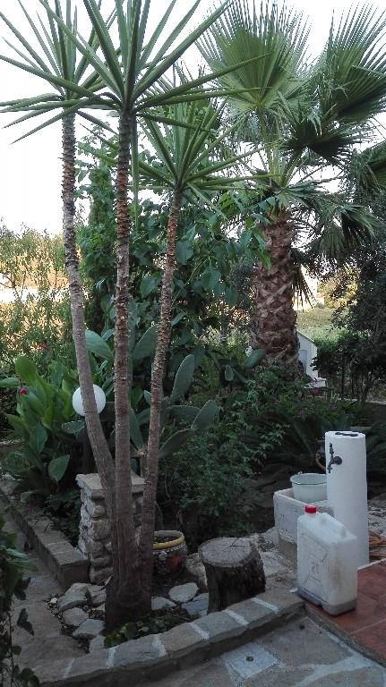 casa indipendente in vendita ad Alcamo in zona Alcamo Marina