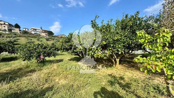 terreno agricolo in vendita ad Alcamo