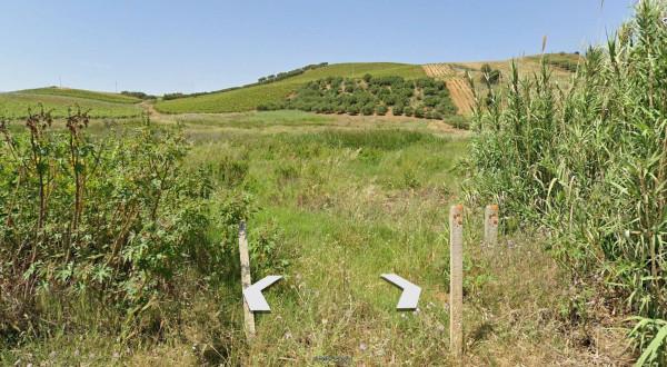 negozio in vendita ad Alcamo