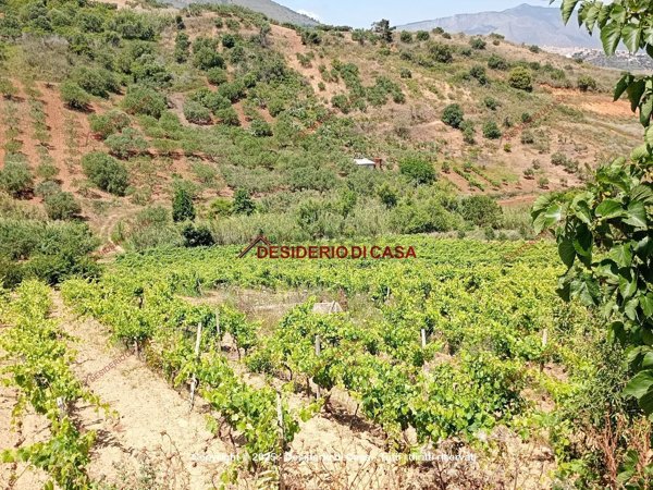 terreno agricolo in vendita ad Alcamo
