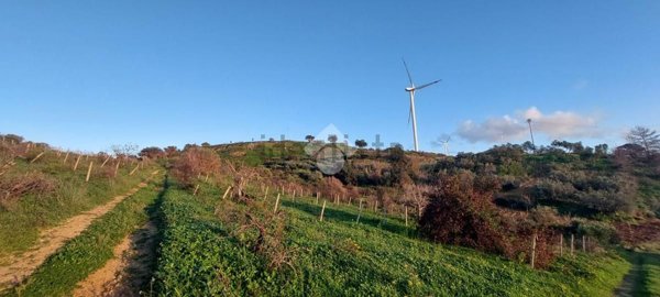 terreno agricolo in vendita ad Alcamo