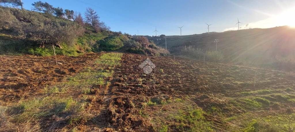 terreno agricolo in vendita ad Alcamo
