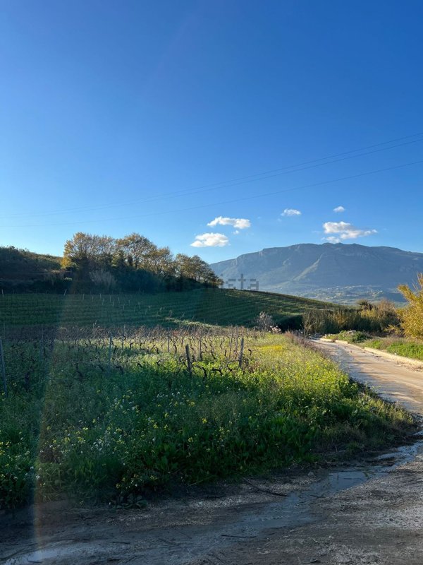 terreno agricolo in vendita ad Alcamo