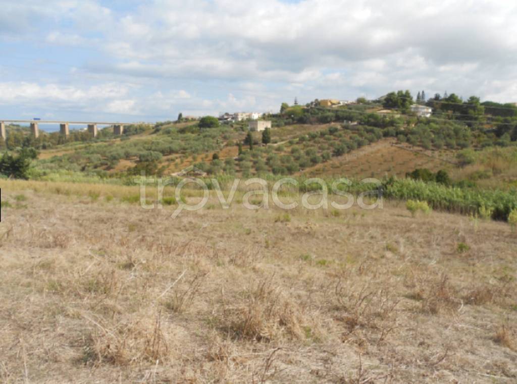 terreno agricolo in vendita ad Alcamo in zona Bosco d'Alcamo