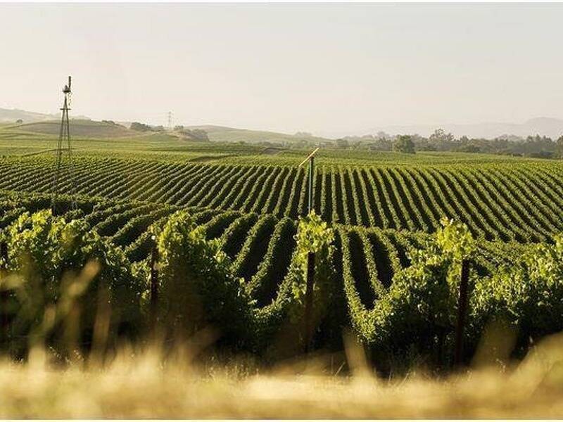 terreno edificabile in vendita ad Alcamo