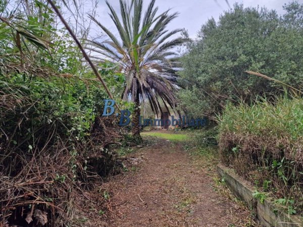 casa indipendente in vendita ad Alcamo