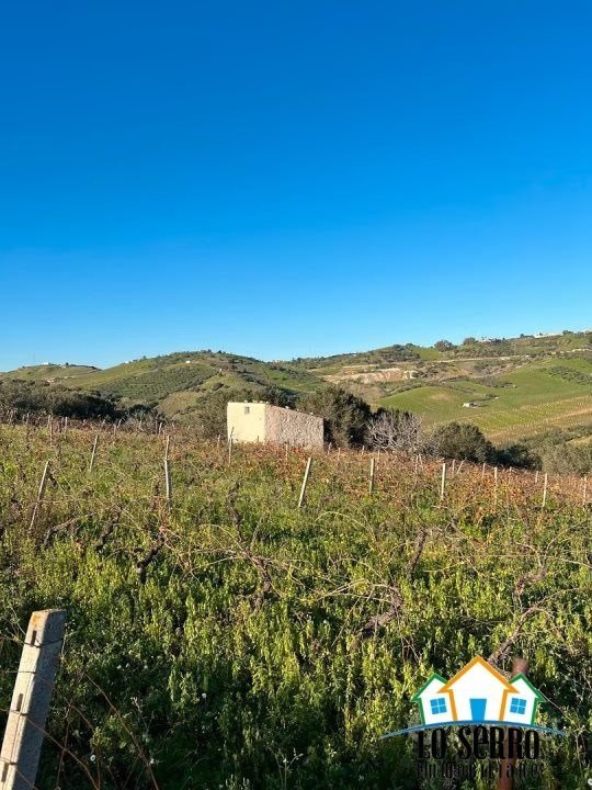 terreno agricolo in vendita ad Alcamo