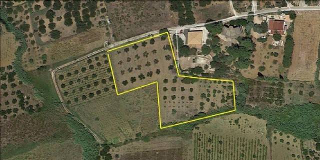 terreno agricolo in vendita ad Alcamo in zona Alcamo Marina