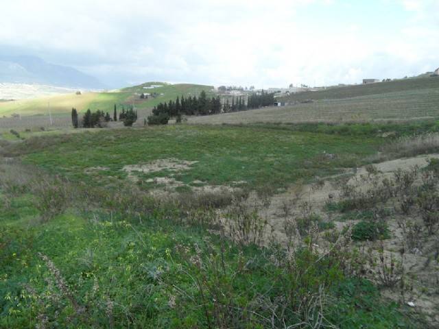 terreno agricolo in vendita ad Alcamo
