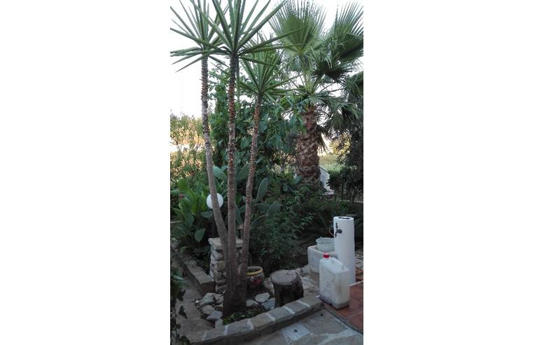 casa indipendente in vendita ad Alcamo in zona Alcamo Marina