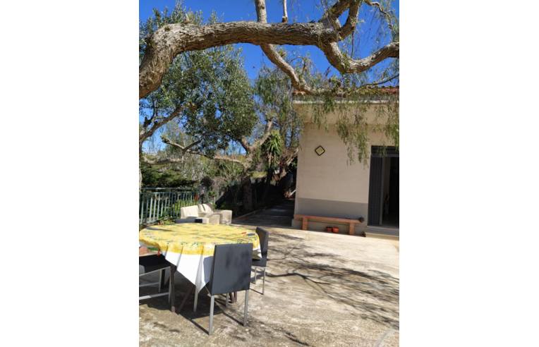 casa indipendente in vendita ad Alcamo