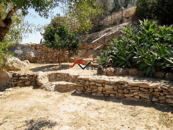 terreno agricolo in vendita ad Alcamo in zona Fico
