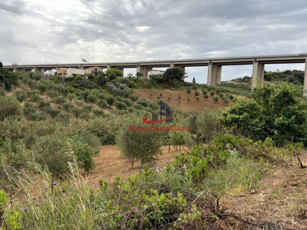 casa indipendente in vendita ad Alcamo in zona Alcamo Marina