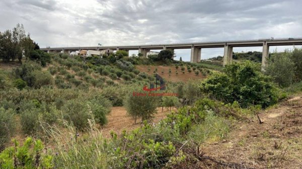 casa indipendente in vendita ad Alcamo in zona Alcamo Marina