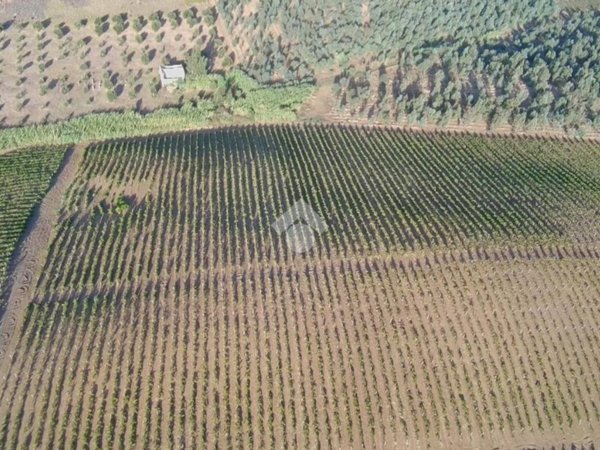 terreno in vendita ad Alcamo in zona Fico