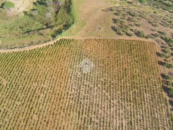 terreno in vendita ad Alcamo in zona Fico