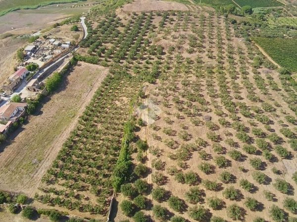 terreno in vendita ad Alcamo in zona Fico