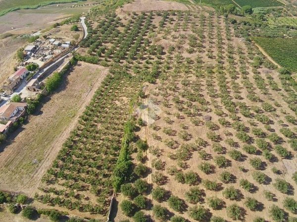 terreno in vendita ad Alcamo in zona Fico