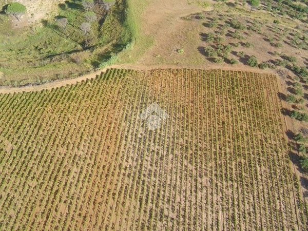 terreno in vendita ad Alcamo in zona Fico