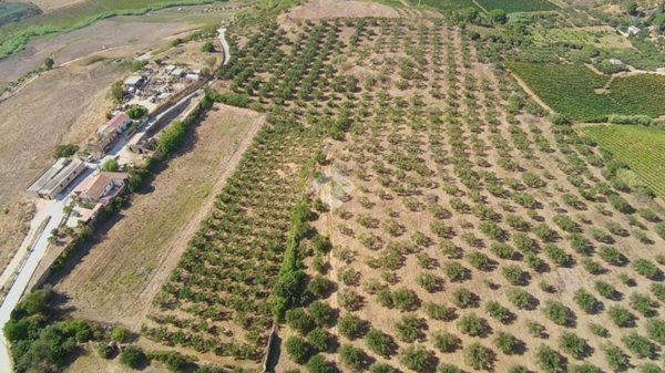 terreno in vendita ad Alcamo in zona Fico
