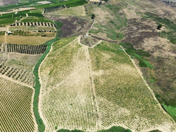 terreno in vendita ad Alcamo in zona Fico