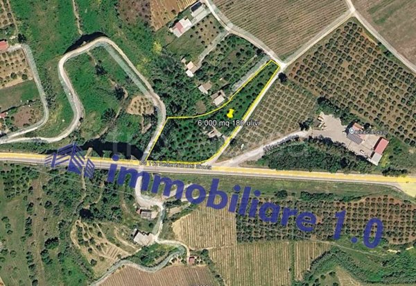 casa indipendente in vendita ad Alcamo in zona Fico