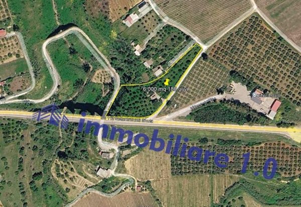 casa indipendente in vendita ad Alcamo in zona Fico