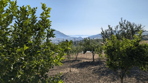casa indipendente in vendita a Buseto Palizzolo